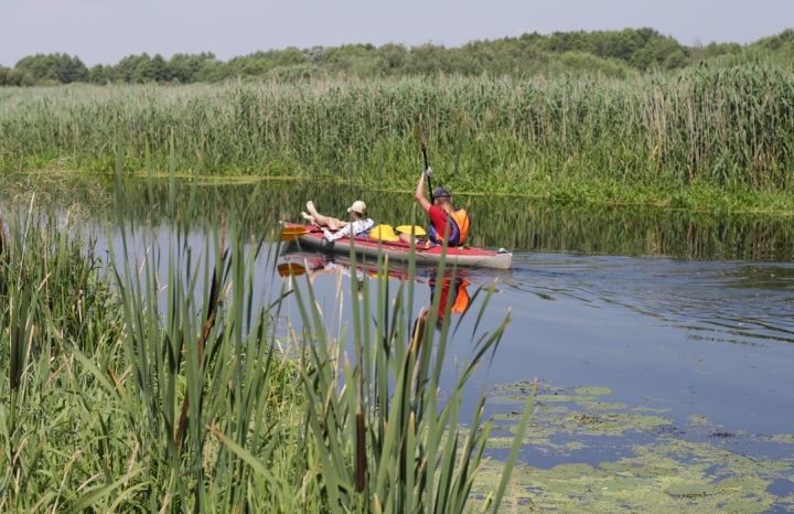 Брестская область. На Лесной назревает экологическая катастрофа: уровень кислорода в воде продолжает падать