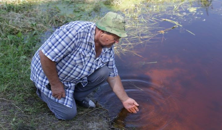 Брестская область. На Лесной назревает экологическая катастрофа: уровень кислорода в воде продолжает падать