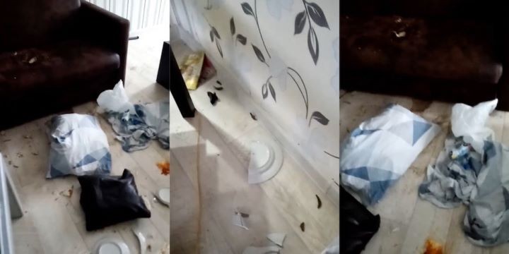 Уже через сутки не узнал свою квартиру. История из Брестской области про горе-арендаторов