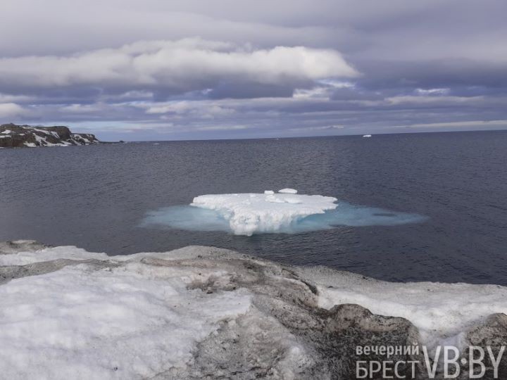 Брестчанка стала первооткрывательницей Арктики