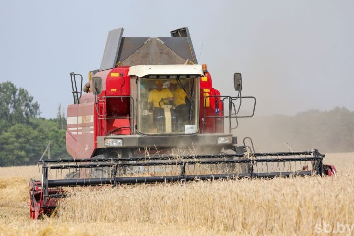 На Брестчине началась массовая жатва