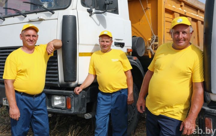 На Брестчине началась массовая жатва