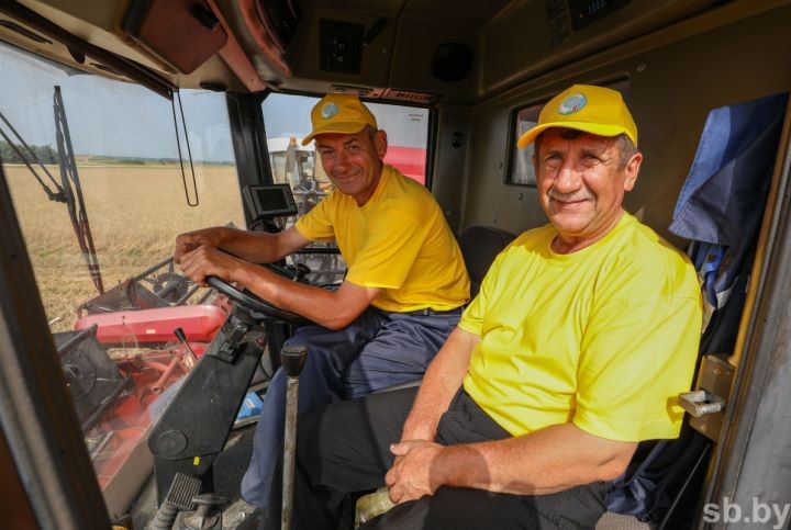 На Брестчине началась массовая жатва