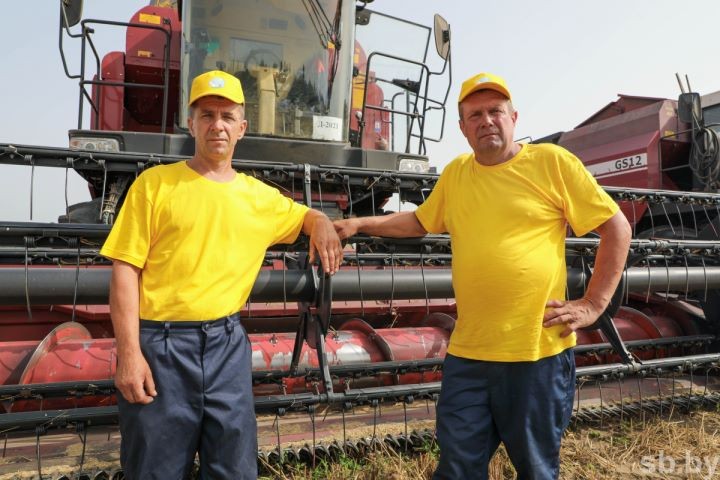 На Брестчине началась массовая жатва