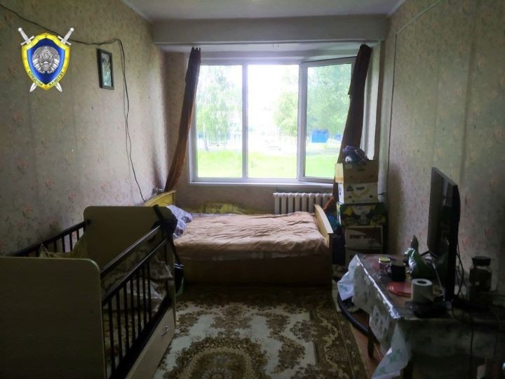 Москитная сетка не выдержала. Годовалый мальчик выпал из окна в Брестской области