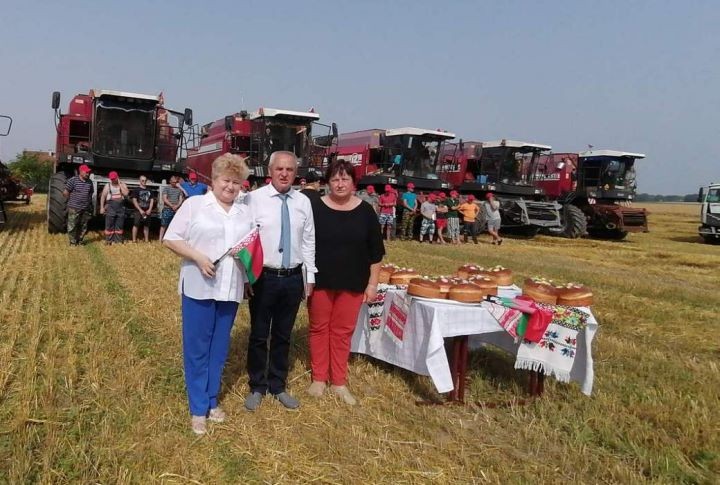 Брестская область. В «Видомлянском» прошли зажинки