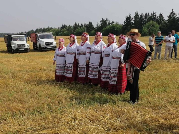 Брестская область. В «Видомлянском» прошли зажинки