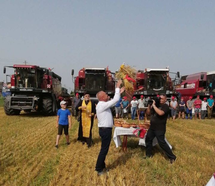 Брестская область. В «Видомлянском» прошли зажинки