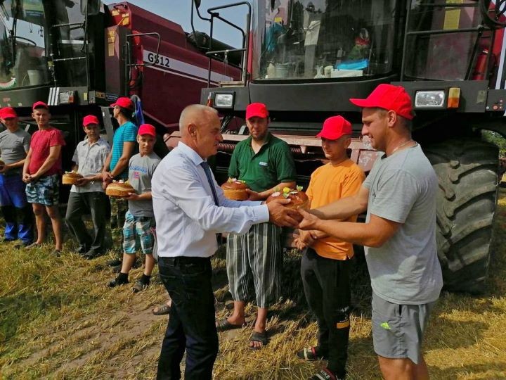 Брестская область. В «Видомлянском» прошли зажинки