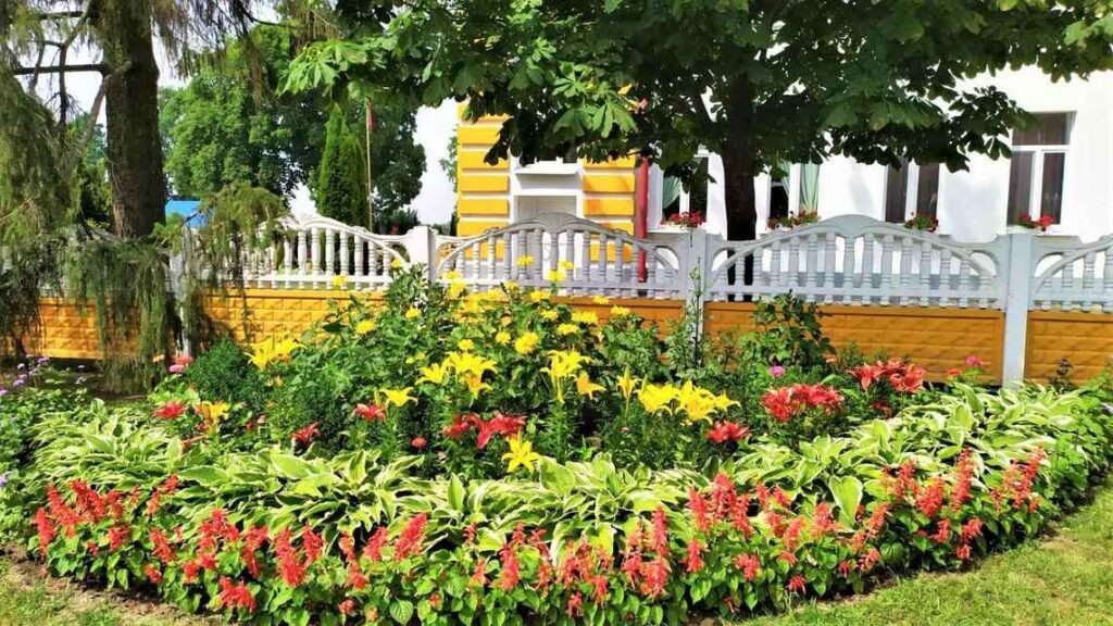 Брестская областью. В Видомле — настоящий цветочный релакс