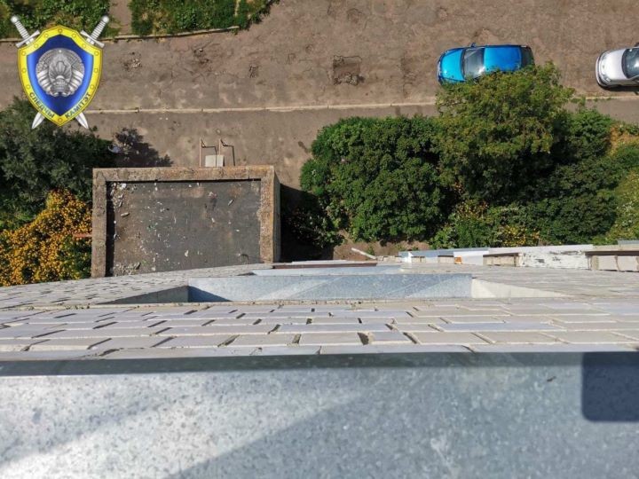 В Гомеле с 8-го этажа упал ребенок. Он жив