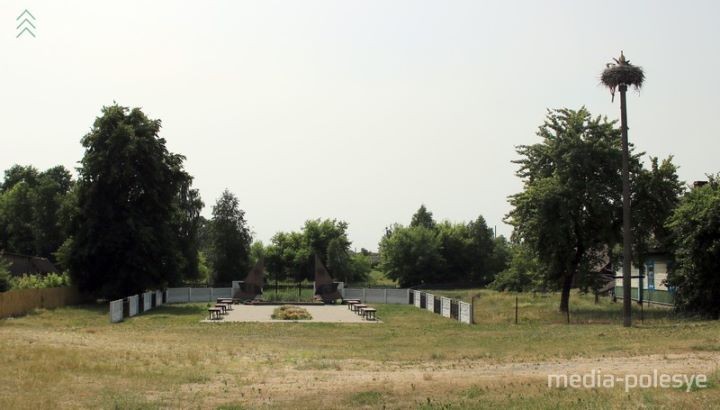 В Ольманах энергетики отдали аистам часть долга