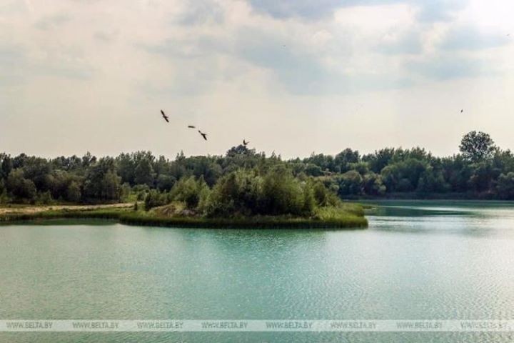 Меловые карьеры в Брестской области