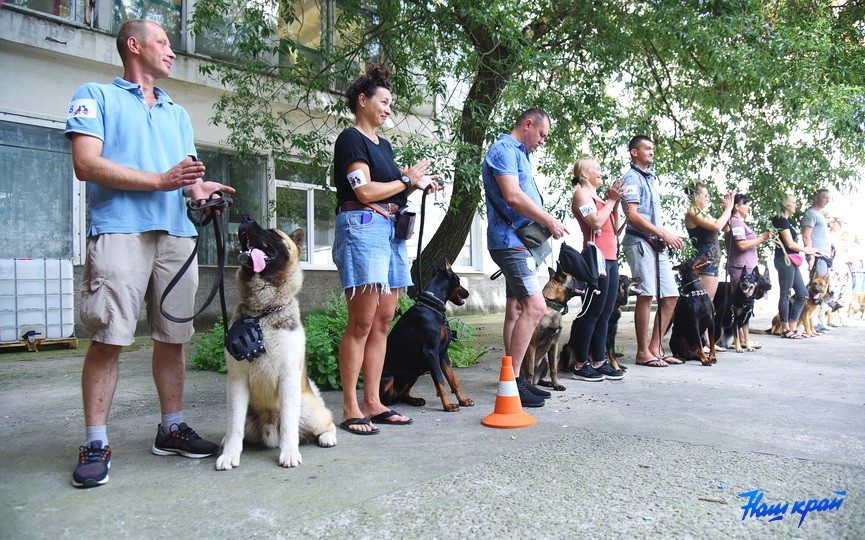 Кинологические соревнования в городе Барановичи. Фоторепортаж