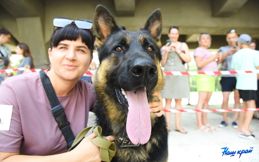 Кинологические соревнования в городе Барановичи. Фоторепортаж