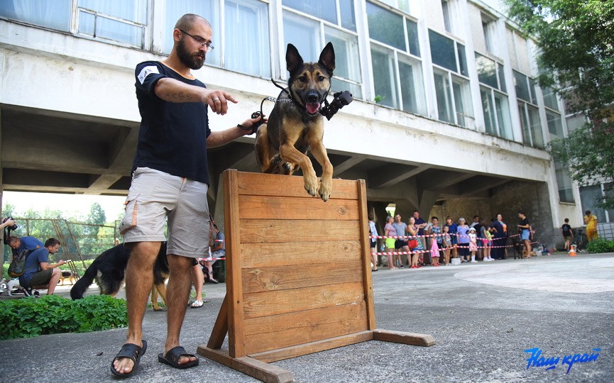 Кинологические соревнования в городе Барановичи. Фоторепортаж