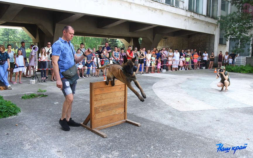 Кинологические соревнования в городе Барановичи. Фоторепортаж