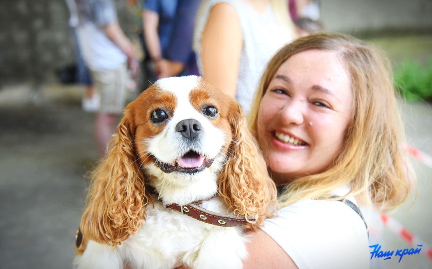 Кинологические соревнования в городе Барановичи. Фоторепортаж
