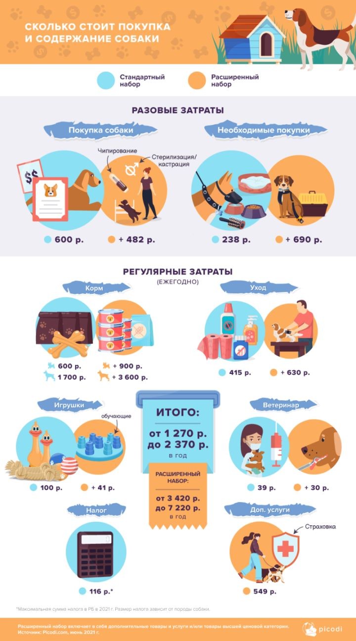 Сколько стоит покупка и содержание собаки и кошки в Беларуси