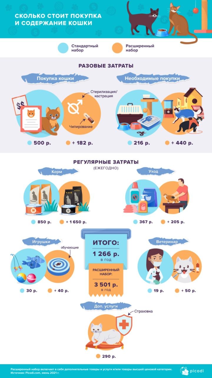 Сколько стоит покупка и содержание собаки и кошки в Беларуси