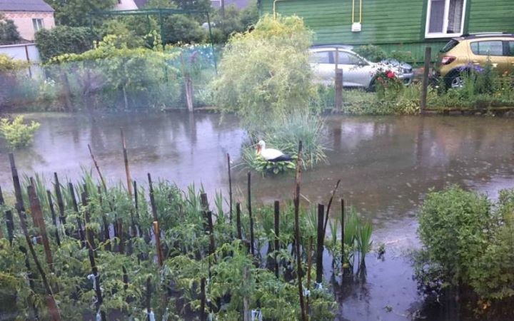 Жители д. Тельмы-1 вот уж полтора года бьют в набат из-за подтопления участков