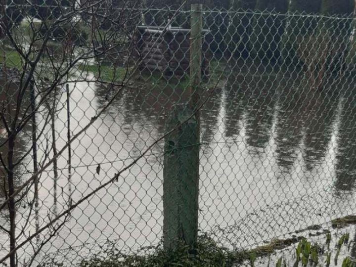 Жители д. Тельмы-1 вот уж полтора года бьют в набат из-за подтопления участков