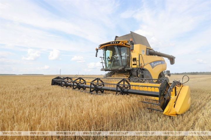 Первый экипаж-тысячник появился на жатве в Брестской области