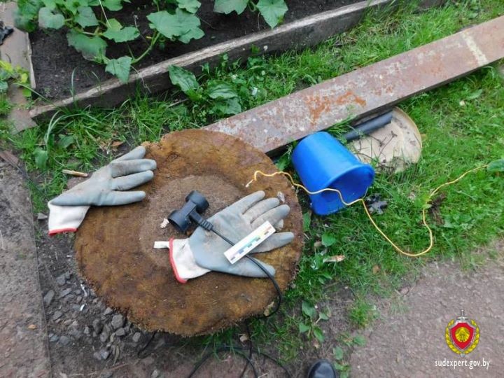 Рыбак выгонял червей из земли электричеством. Погиб