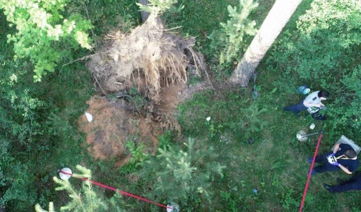 В Смолевичском районе предприниматель вывез мужчину в лес, выстрелил ему в голову и закопал