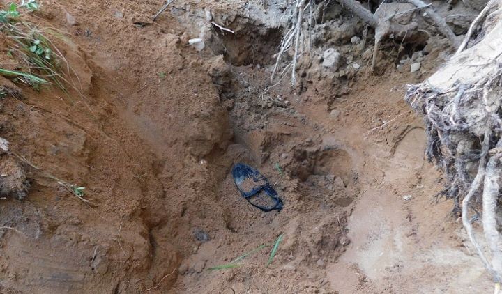 В Смолевичском районе предприниматель вывез мужчину в лес, выстрелил ему в голову и закопал