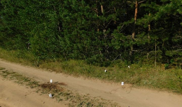 В Смолевичском районе предприниматель вывез мужчину в лес, выстрелил ему в голову и закопал