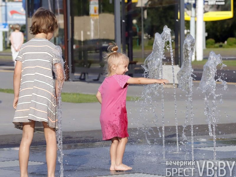 В Бресте к воде тянутся не только люди, но и животные, и птицы