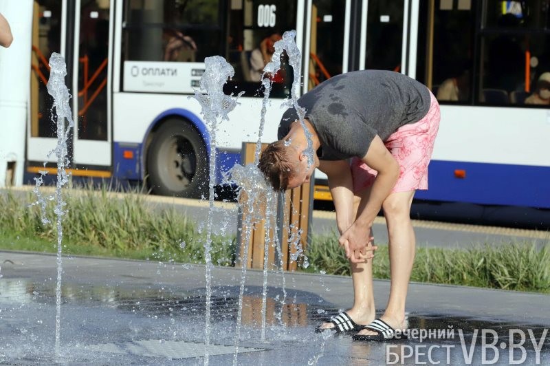 В Бресте к воде тянутся не только люди, но и животные, и птицы