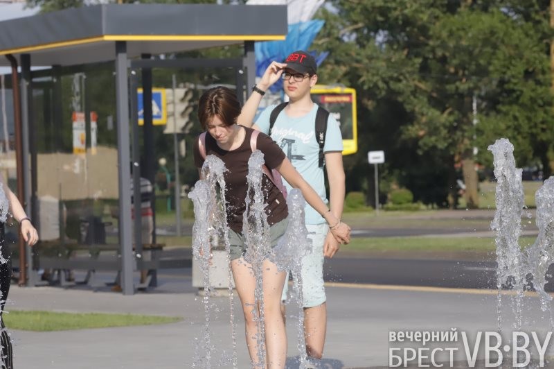 В Бресте к воде тянутся не только люди, но и животные, и птицы