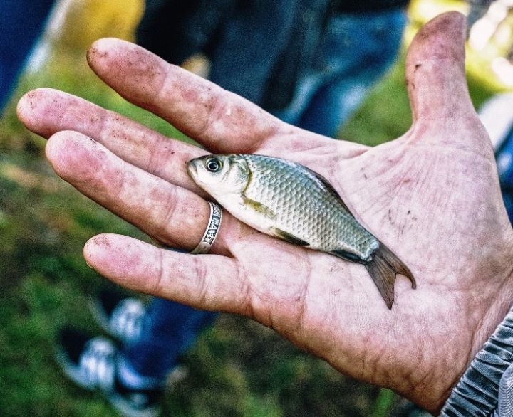 Фото из открытых источников (иллюстрация)