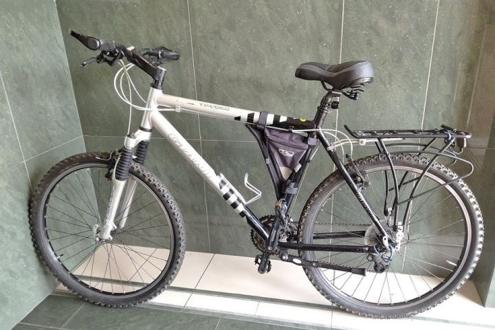 У белоруса на польской границе забрали велосипед, а он поехал дальше