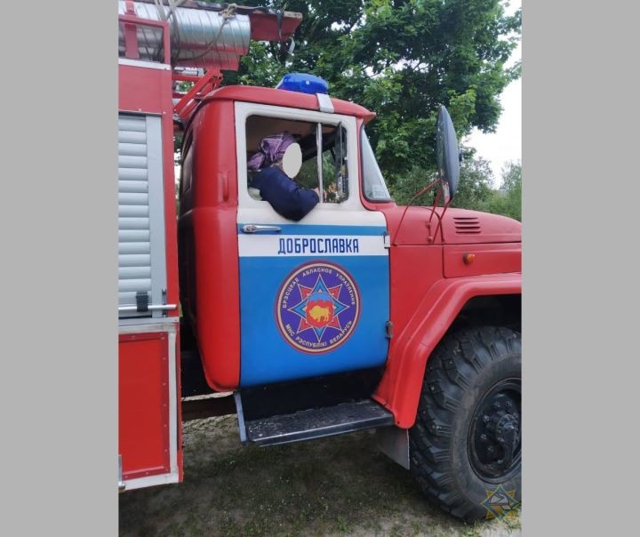 Найдена женщина, потерявшаяся в Брестской области в лесном массиве