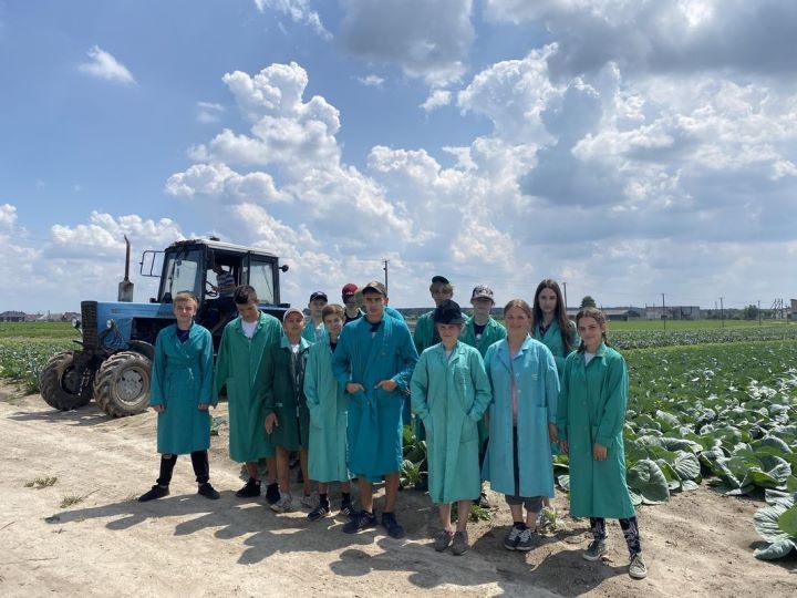 Студотряды БРСМ активно работают в Брестском районе