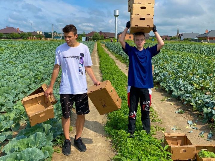 Студотряды БРСМ активно работают в Брестском районе