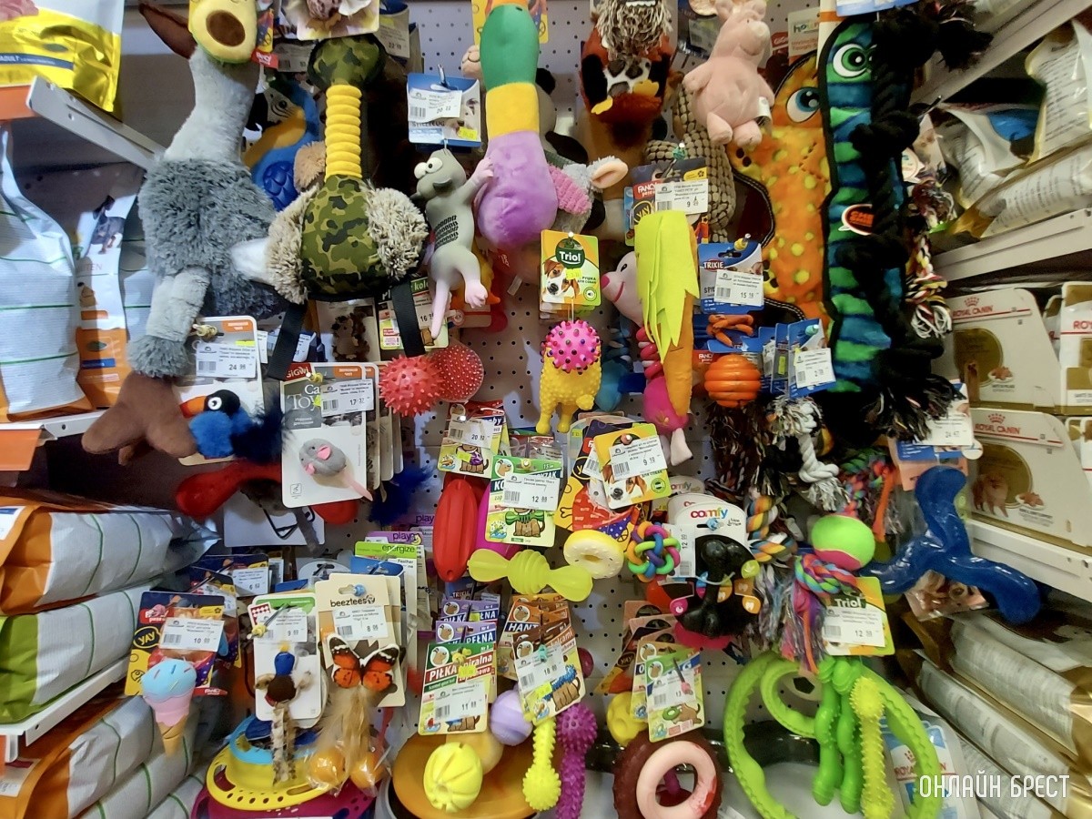 Зоомагазин