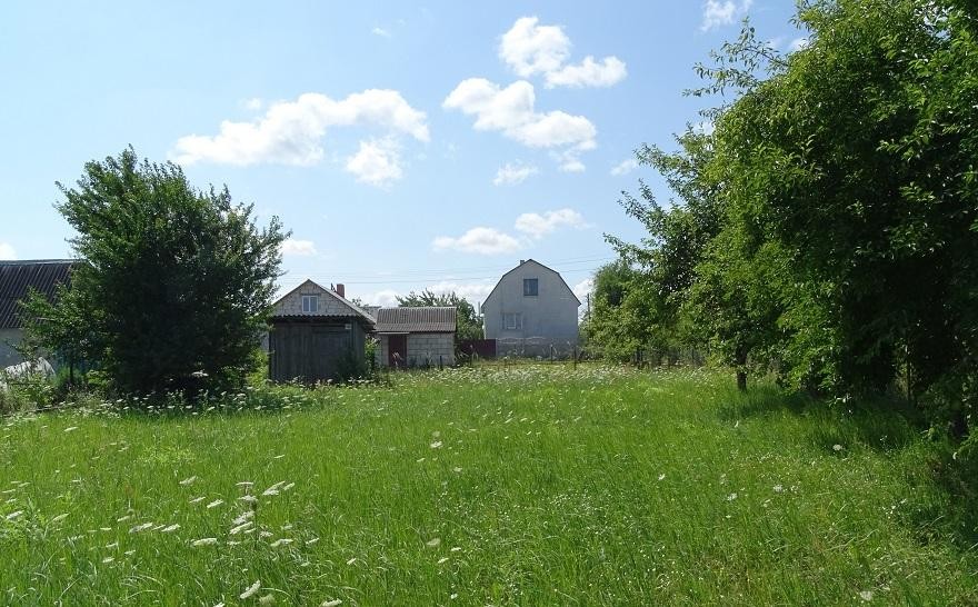 Изображение носит иллюстративный характер. Фото: Myfin.by