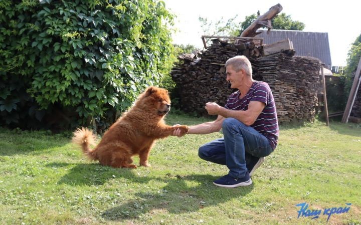 Житель Брестской области купил дом в деревне и разводит во дворе золотых рыбок, черепах, кроликов и морских свинок