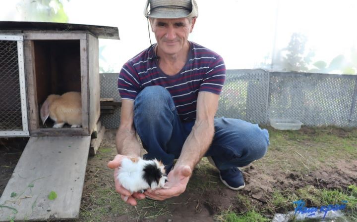 Житель Брестской области купил дом в деревне и разводит во дворе золотых рыбок, черепах, кроликов и морских свинок