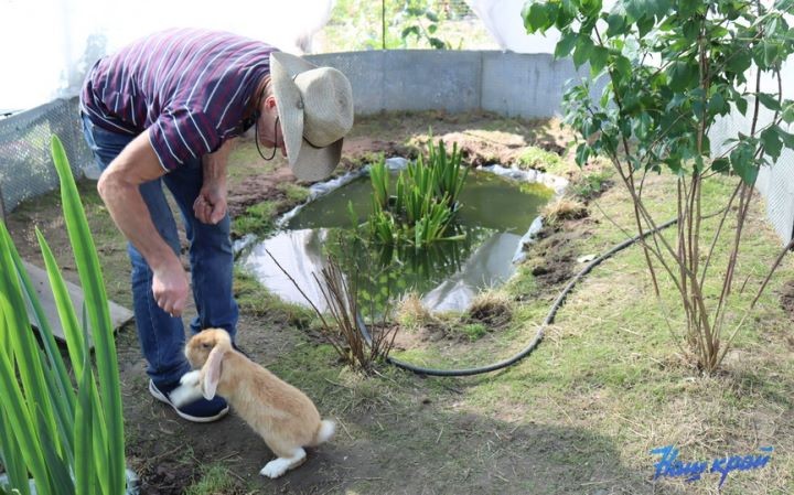 Житель Брестской области купил дом в деревне и разводит во дворе золотых рыбок, черепах, кроликов и морских свинок