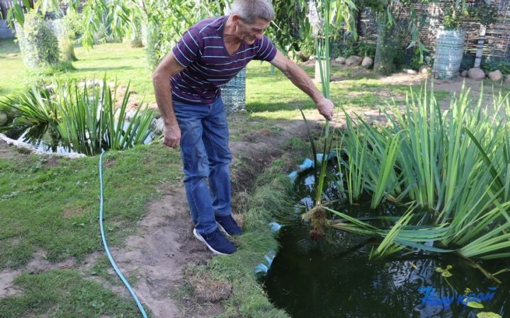 Житель Брестской области купил дом в деревне и разводит во дворе золотых рыбок, черепах, кроликов и морских свинок