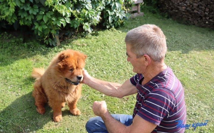 Житель Брестской области купил дом в деревне и разводит во дворе золотых рыбок, черепах, кроликов и морских свинок