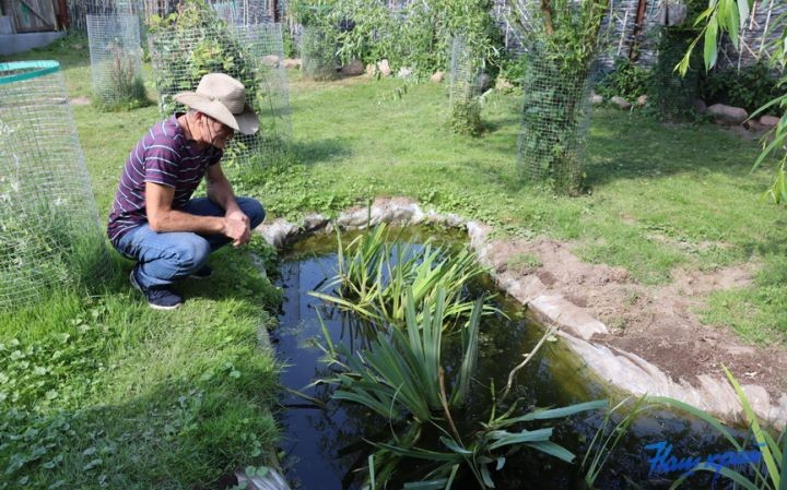 Житель Брестской области купил дом в деревне и разводит во дворе золотых рыбок, черепах, кроликов и морских свинок