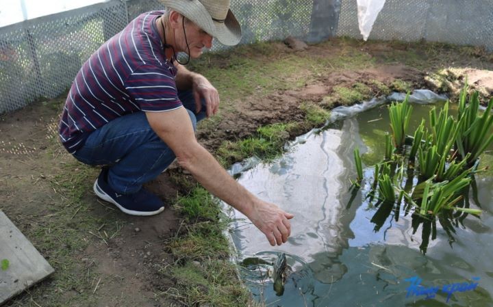 Житель Брестской области купил дом в деревне и разводит во дворе золотых рыбок, черепах, кроликов и морских свинок