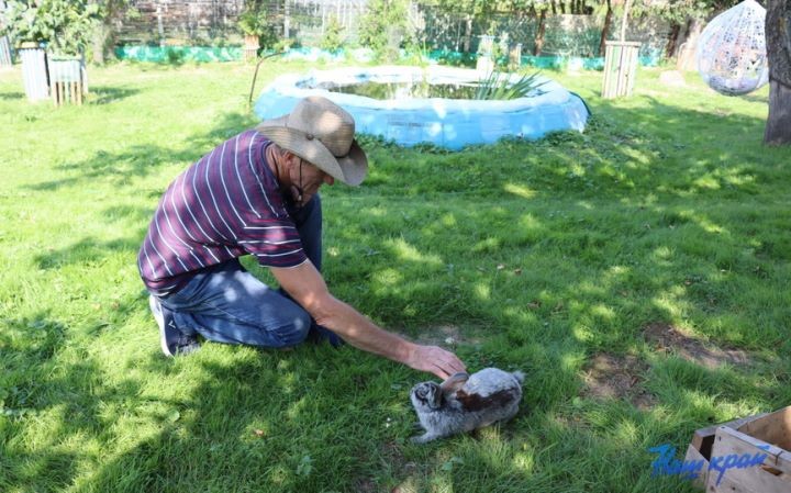 Житель Брестской области купил дом в деревне и разводит во дворе золотых рыбок, черепах, кроликов и морских свинок