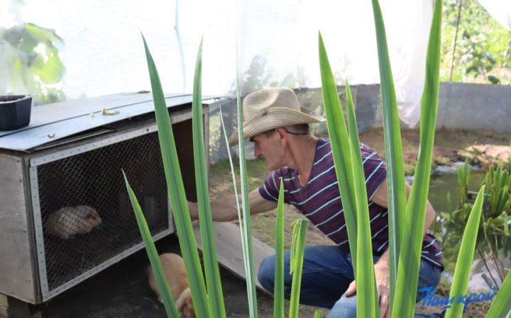 Житель Брестской области купил дом в деревне и разводит во дворе золотых рыбок, черепах, кроликов и морских свинок
